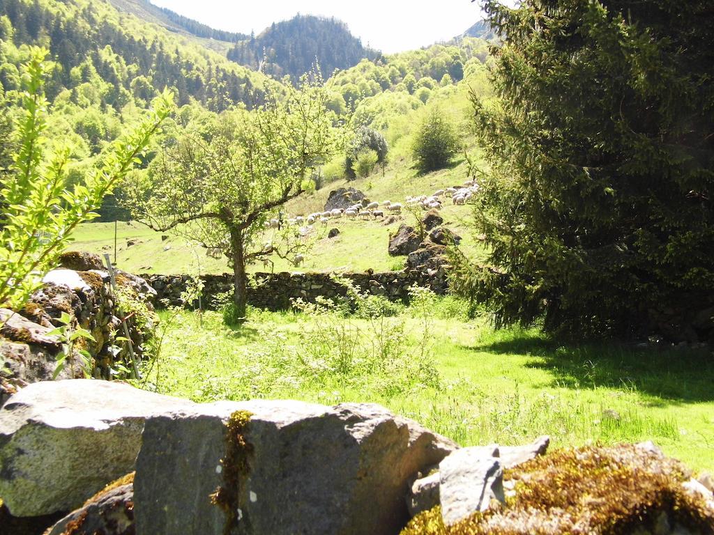 Gite Auberge Les Cascades La Mongie Luaran gambar