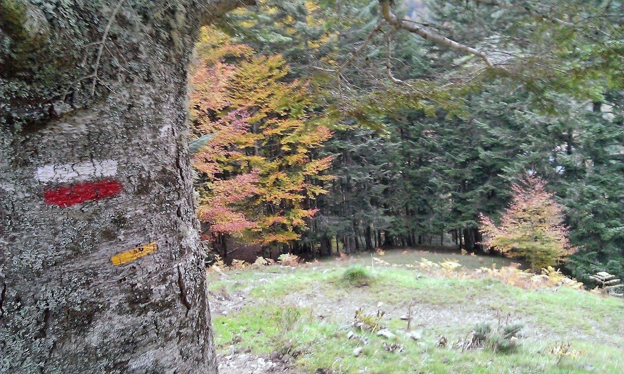 Gite Auberge Les Cascades La Mongie Luaran gambar